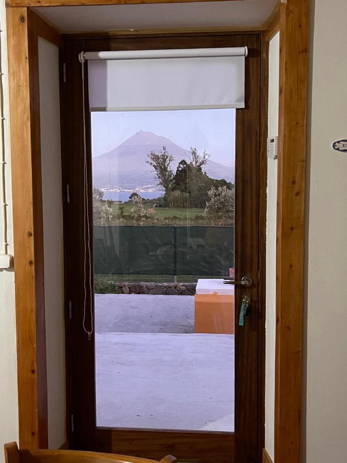 Pedro Miguel Casa Do Bicho Pauヴィラ エクステリア 写真