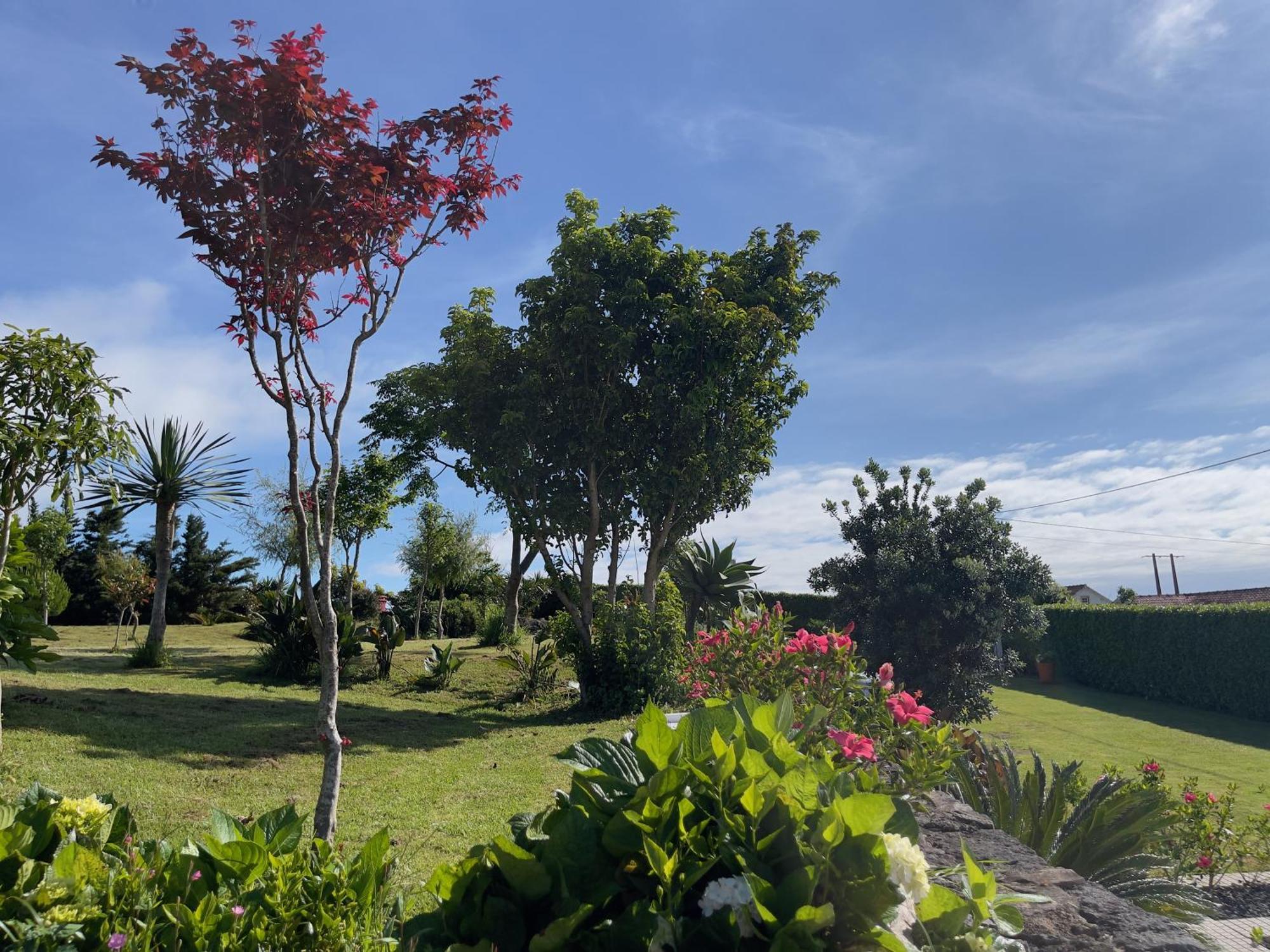 Pedro Miguel Casa Do Bicho Pauヴィラ エクステリア 写真
