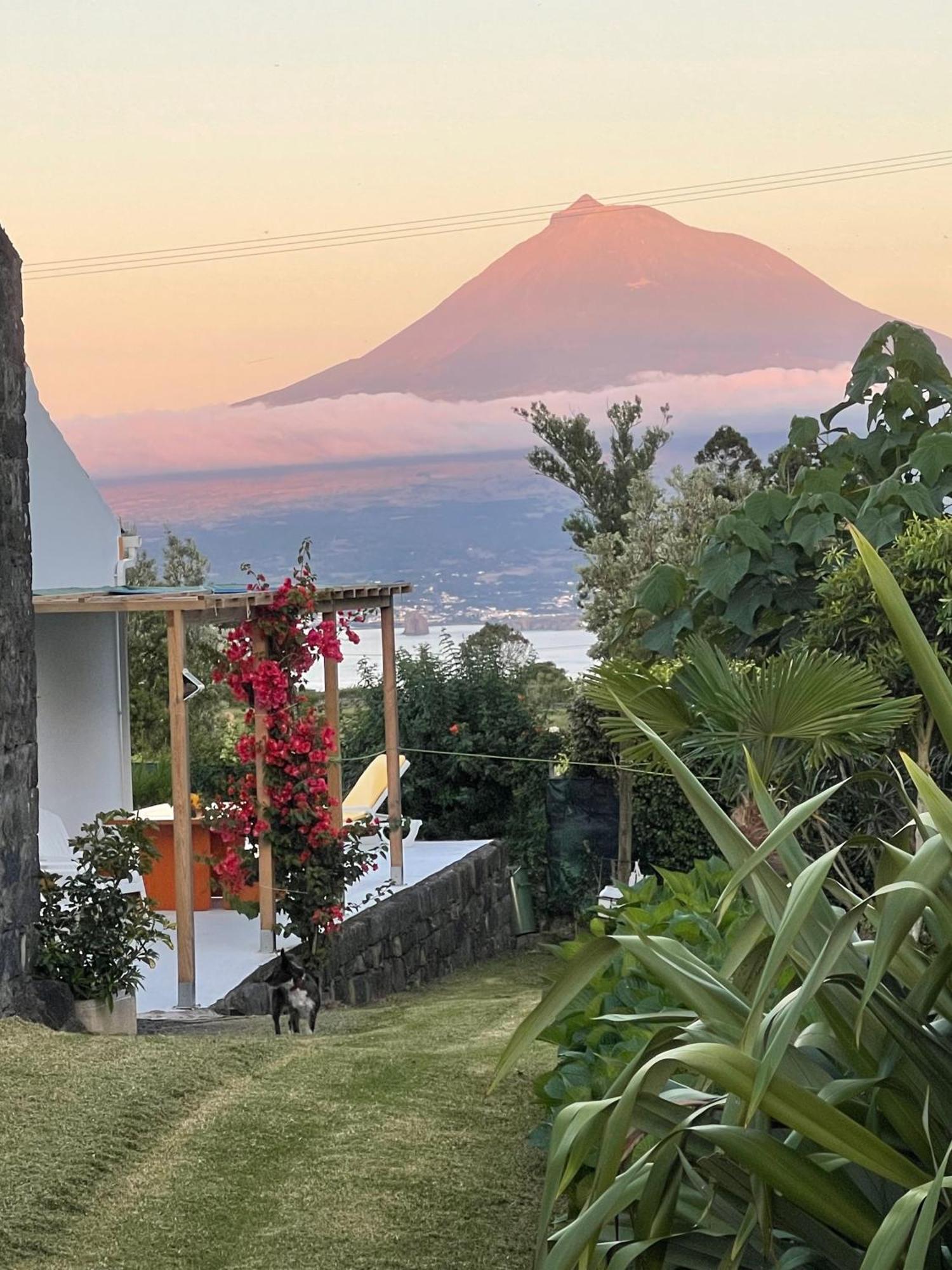 Pedro Miguel Casa Do Bicho Pauヴィラ エクステリア 写真